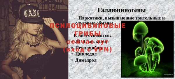2c-b Ладушкин