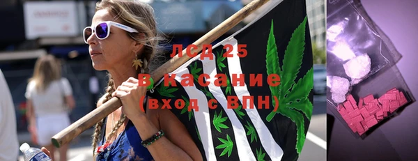 ГАЛЛЮЦИНОГЕННЫЕ ГРИБЫ Лагань