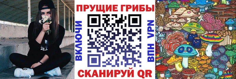 Галлюциногенные грибы Psilocybine cubensis  Берёзовский 